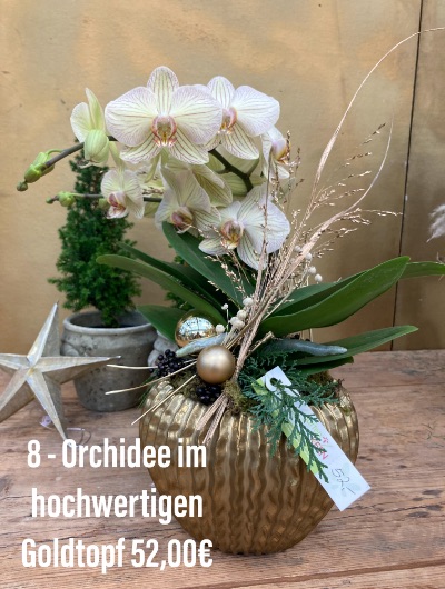 8. Orchidee