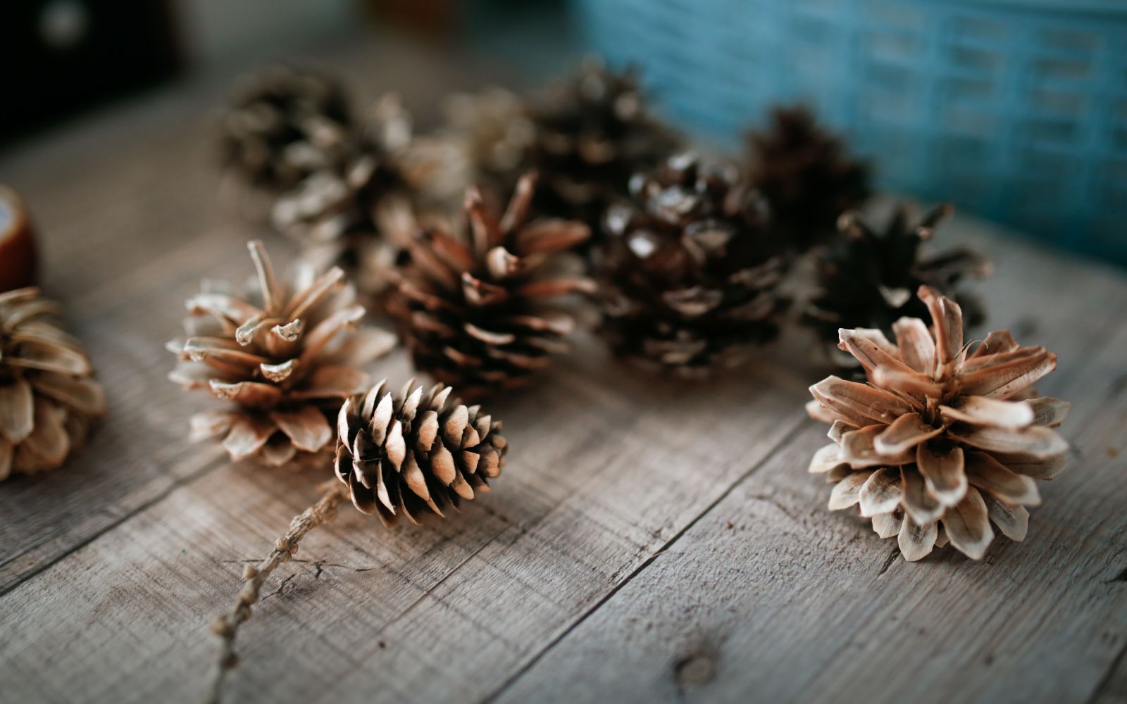 Adventsausstellung 2025