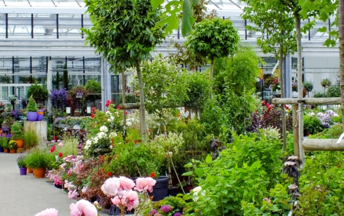 Garten Kern Willkommen in der Welt des Grüns!