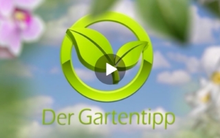 Der Gartentipp von Garten Kern