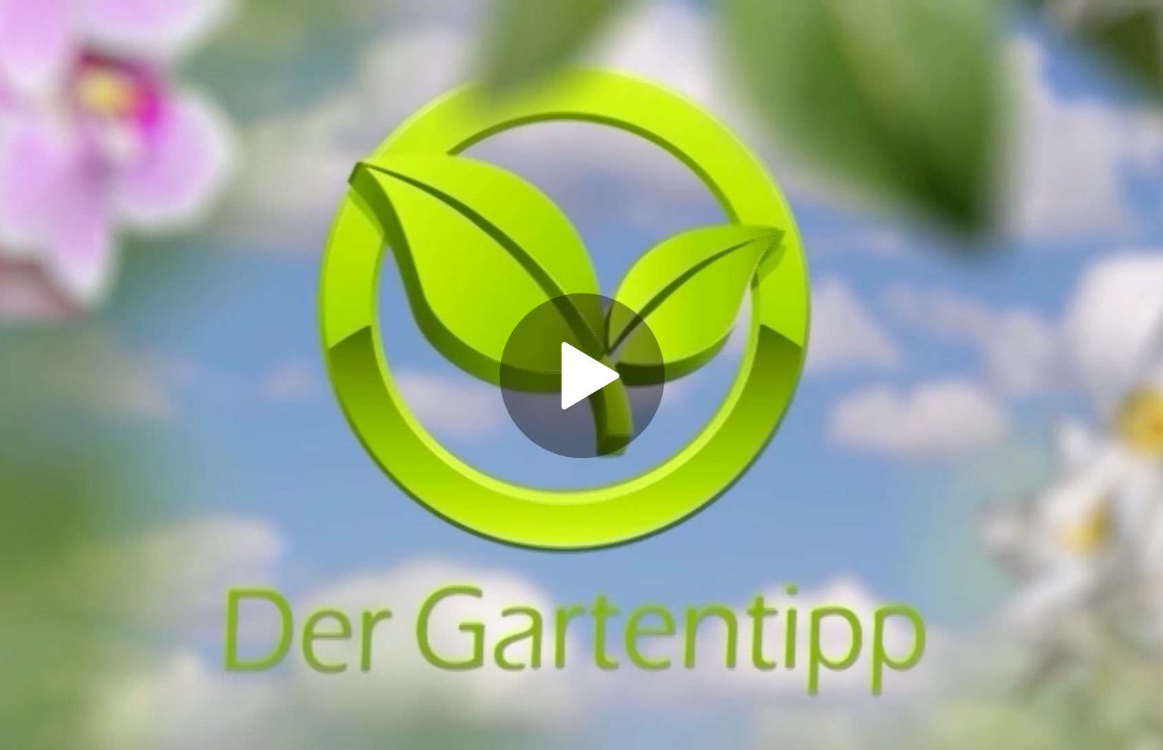 Der Gartentipp von Garten Kern