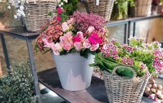 Die schönsten Blumen für den Muttertag