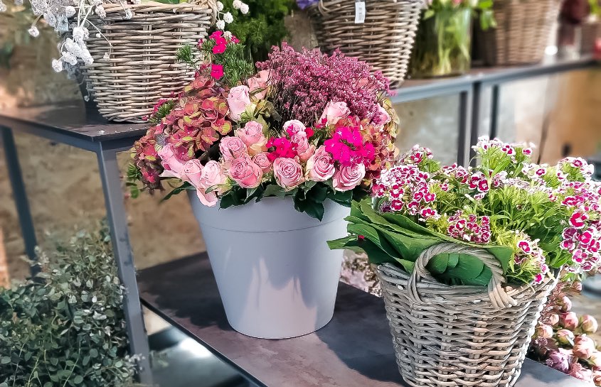 Die schönsten Blumen für den Muttertag