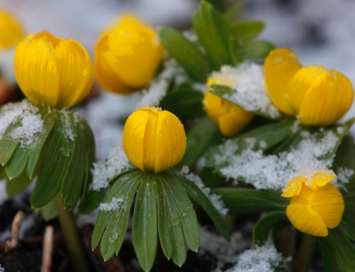 Öffnungszeiten im Winter