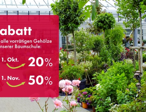 Rabatt auf alle Gehölze